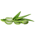 C Aloe Cipro Gest